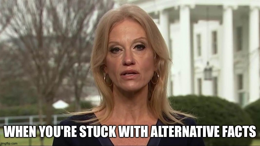Kellyanne Conway alternative facts | WHEN YOU'RE STUCK WITH ALTERNATIVE FACTS | image tagged in kellyanne conway alternative facts | made w/ Imgflip meme maker