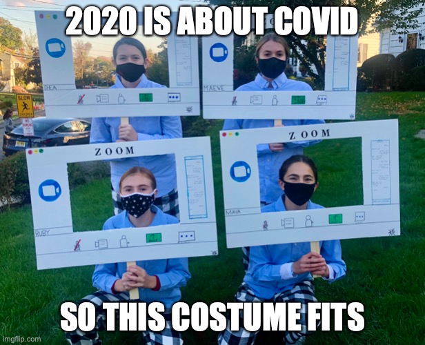 Zoom Costume | 2020 IS ABOUT COVID; SO THIS COSTUME FITS | image tagged in zoom,covid-19,memes,halloween | made w/ Imgflip meme maker