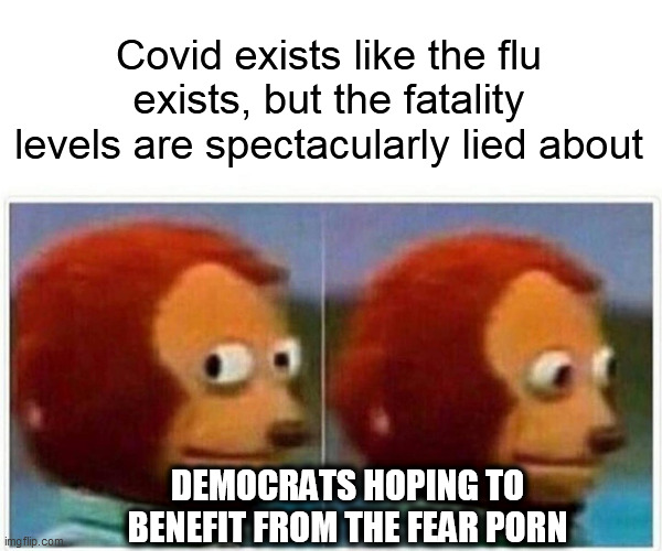 Monkey Puppet Meme | Covid exists like the flu exists, but the fatality levels are spectacularly lied about DEMOCRATS HOPING TO BENEFIT FROM THE FEAR PORN | image tagged in memes,monkey puppet | made w/ Imgflip meme maker