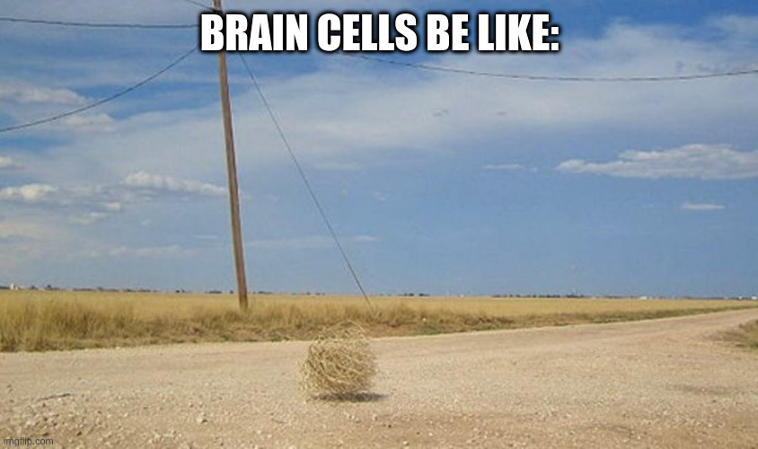 How important is drinking water to thinking? | BRAIN CELLS BE LIKE: | image tagged in tumbleweed | made w/ Imgflip meme maker