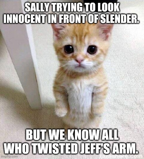 Sally is so adorable! | SALLY TRYING TO LOOK INNOCENT IN FRONT OF SLENDER. BUT WE KNOW ALL WHO TWISTED JEFF'S ARM. | image tagged in memes,cute cat,sally | made w/ Imgflip meme maker