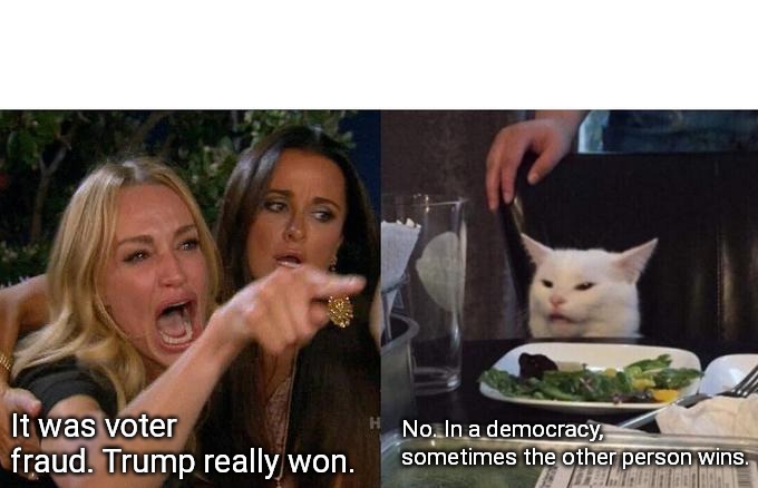 Woman Yelling At Cat Meme | It was voter fraud. Trump really won. No. In a democracy, sometimes the other person wins. | image tagged in memes,woman yelling at cat | made w/ Imgflip meme maker