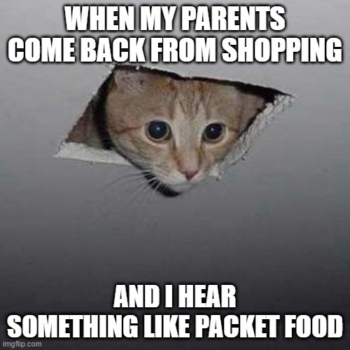 Ceiling Cat Meme | WHEN MY PARENTS COME BACK FROM SHOPPING; AND I HEAR SOMETHING LIKE PACKET FOOD | image tagged in memes,ceiling cat | made w/ Imgflip meme maker