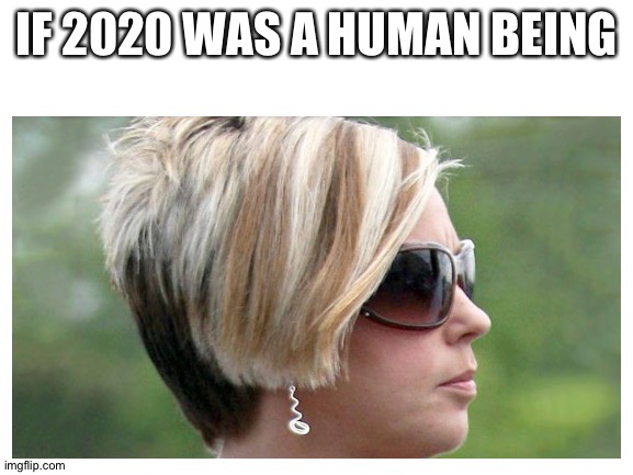 Can I say enough? | IF 2020 WAS A HUMAN BEING | image tagged in memes,funny,karen,2020,2020 sucks | made w/ Imgflip meme maker