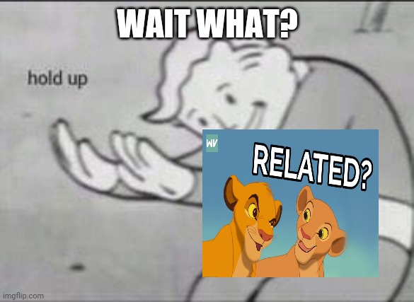 Wow. Just wow. | WAIT WHAT? | image tagged in fallout hold up | made w/ Imgflip meme maker