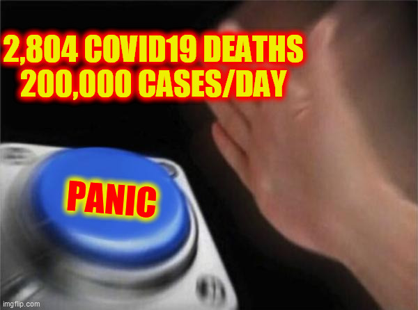 PANDEmic. PANic. | 2,804 COVID19 DEATHS
200,000 CASES/DAY; PANIC | image tagged in blank nut button,pandemic,panic,covid 19,death,disease | made w/ Imgflip meme maker
