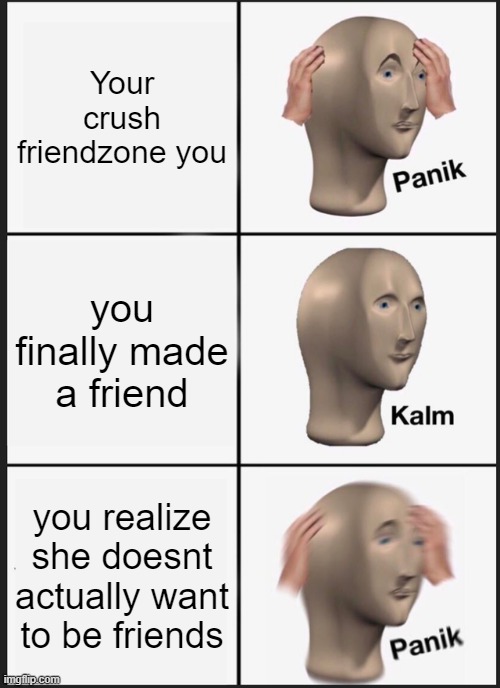 idk | Your crush friendzone you; you finally made a friend; you realize she doesnt actually want to be friends | image tagged in memes,panik kalm panik | made w/ Imgflip meme maker