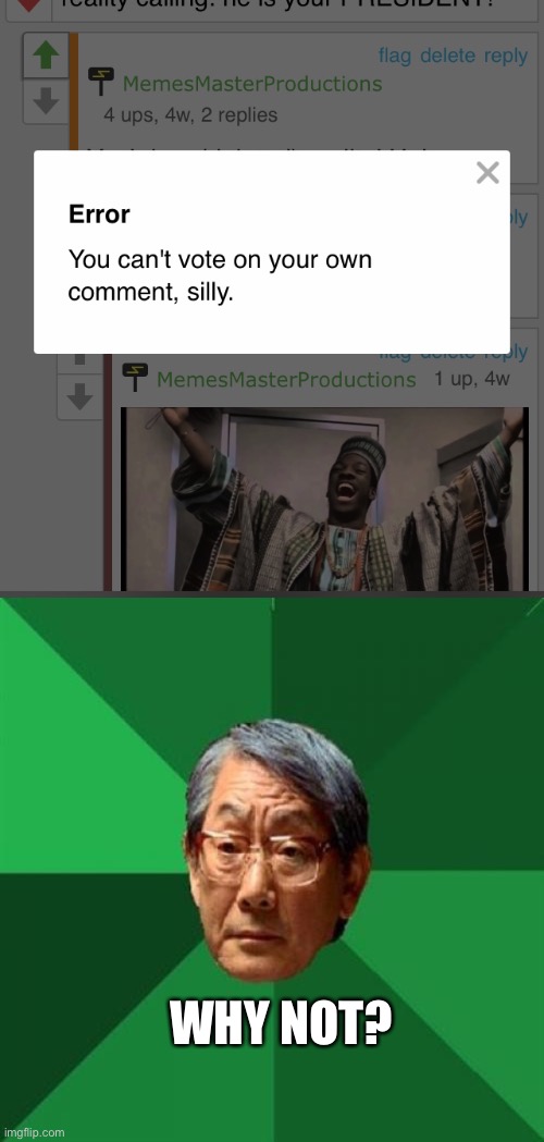 Why not? | WHY NOT? | image tagged in error,memes,high expectations asian father | made w/ Imgflip meme maker