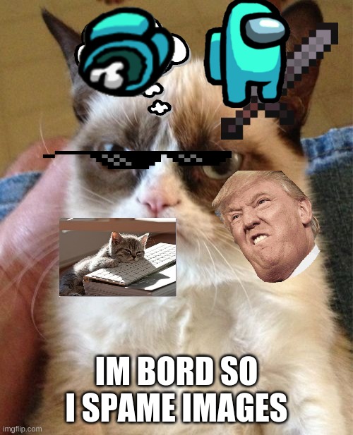 Grumpy Cat Meme | IM BORD SO I SPAME IMAGES | image tagged in memes,grumpy cat | made w/ Imgflip meme maker