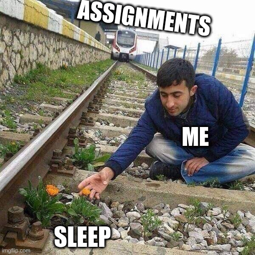 sleep deprived | ASSIGNMENTS; ME; SLEEP | image tagged in flower train man | made w/ Imgflip meme maker