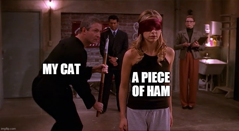 Cat and ham | MY CAT; A PIECE OF HAM | image tagged in creeping up on you,cat | made w/ Imgflip meme maker