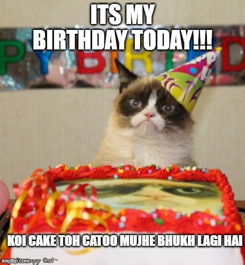 Grumpy Cat Birthday | ITS MY BIRTHDAY TODAY!!! KOI CAKE TOH CATOO MUJHE BHUKH LAGI HAI | image tagged in memes,grumpy cat birthday,grumpy cat | made w/ Imgflip meme maker