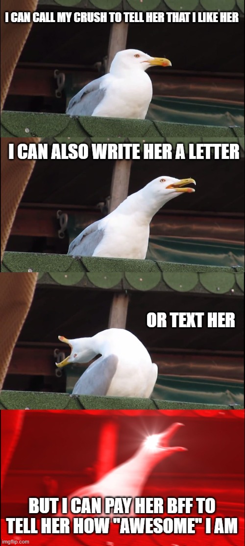 Inhaling Seagull | I CAN CALL MY CRUSH TO TELL HER THAT I LIKE HER; I CAN ALSO WRITE HER A LETTER; OR TEXT HER; BUT I CAN PAY HER BFF TO TELL HER HOW "AWESOME" I AM | image tagged in memes,inhaling seagull | made w/ Imgflip meme maker