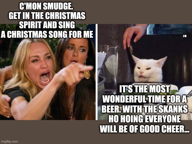 Smudge the cat | C'MON SMUDGE.  GET IN THE CHRISTMAS SPIRIT AND SING A CHRISTMAS SONG FOR ME; J M; IT'S THE MOST WONDERFUL TIME FOR A BEER. WITH THE SKANKS HO HOING EVERYONE WILL BE OF GOOD CHEER... | image tagged in smudge the cat | made w/ Imgflip meme maker