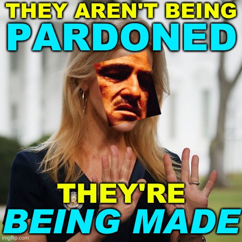 kellyanne conway cropped | THEY AREN'T BEING; PARDONED; THEY'RE; BEING MADE | image tagged in kellyanne conway cropped,being made,that's how mafia works,protection,pardon me,donald trump | made w/ Imgflip meme maker