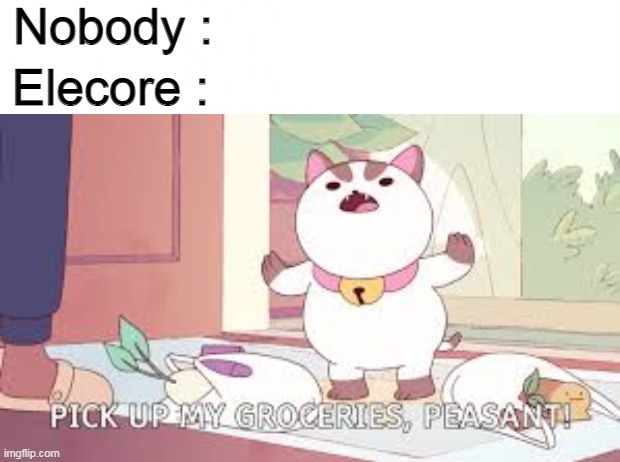 Nobody :; Elecore : | image tagged in en blanco | made w/ Imgflip meme maker