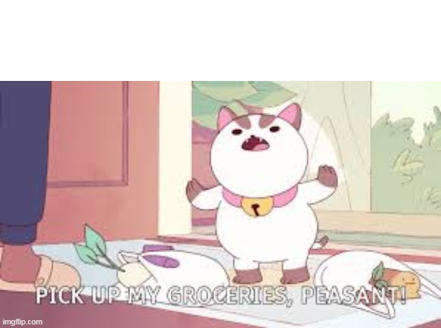 Pick up my groceries Peasant ! | image tagged in en blanco | made w/ Imgflip meme maker