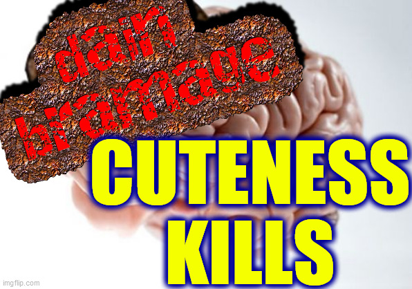 CUTENESS
KILLS | made w/ Imgflip meme maker