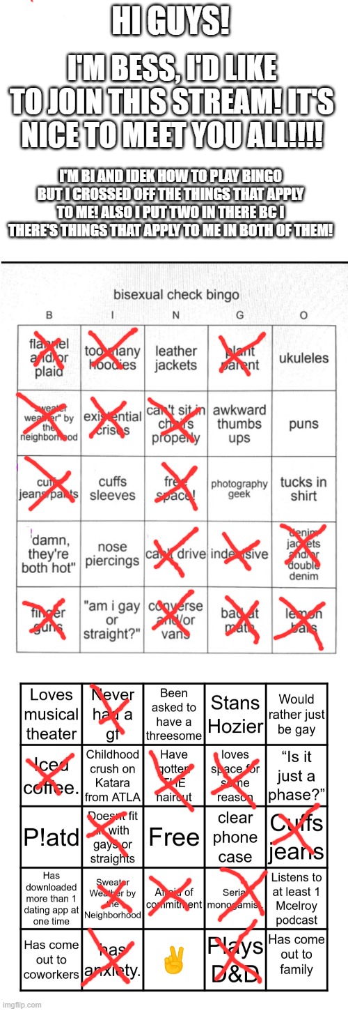 introduction! | HI GUYS! I'M BESS, I'D LIKE TO JOIN THIS STREAM! IT'S NICE TO MEET YOU ALL!!!! I'M BI AND IDEK HOW TO PLAY BINGO BUT I CROSSED OFF THE THINGS THAT APPLY TO ME! ALSO I PUT TWO IN THERE BC I THERE'S THINGS THAT APPLY TO ME IN BOTH OF THEM! | image tagged in rainbows,insert rainbow flag emoji here | made w/ Imgflip meme maker
