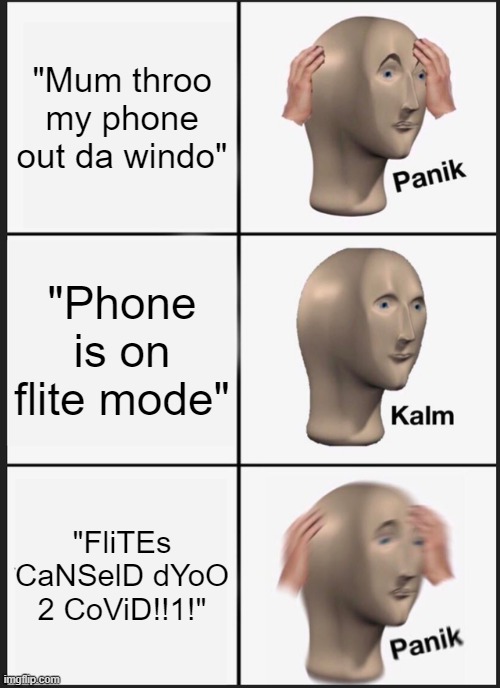 oH nOeS | "Mum throo my phone out da windo"; "Phone is on flite mode"; "FliTEs CaNSelD dYoO 2 CoViD!!1!" | image tagged in memes,panik kalm panik | made w/ Imgflip meme maker