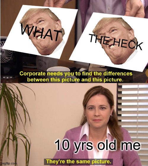 Confused Me | WHAT; THE HECK; 10 yrs old me | image tagged in memes,they're the same picture | made w/ Imgflip meme maker