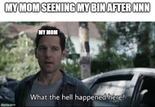 NNN | MY MOM SEENING MY BIN AFTER NNN; MY MOM | image tagged in nnn | made w/ Imgflip meme maker