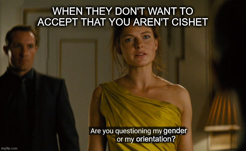 Pff | WHEN THEY DON'T WANT TO ACCEPT THAT YOU AREN'T CISHET; gender; orientation? | image tagged in loyalty or ability,gender | made w/ Imgflip meme maker
