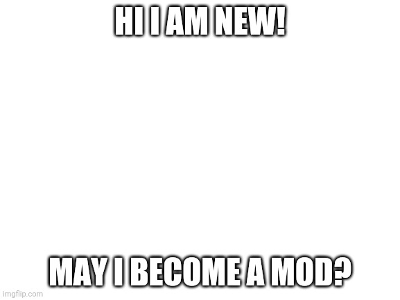 Blank White Template | HI I AM NEW! MAY I BECOME A MOD? | image tagged in blank white template | made w/ Imgflip meme maker