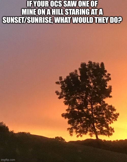 IF YOUR OCS SAW ONE OF MINE ON A HILL STARING AT A SUNSET/SUNRISE, WHAT WOULD THEY DO? | made w/ Imgflip meme maker