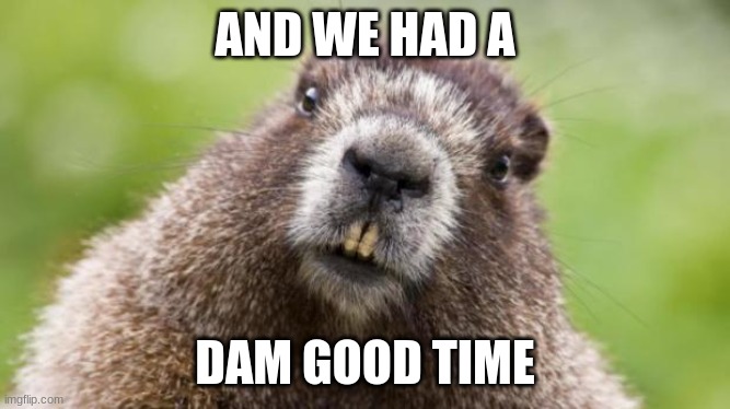Mr Beaver | AND WE HAD A DAM GOOD TIME | image tagged in mr beaver | made w/ Imgflip meme maker
