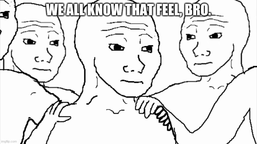 We all know that feel | WE ALL KNOW THAT FEEL, BRO. | image tagged in we all know that feel | made w/ Imgflip meme maker