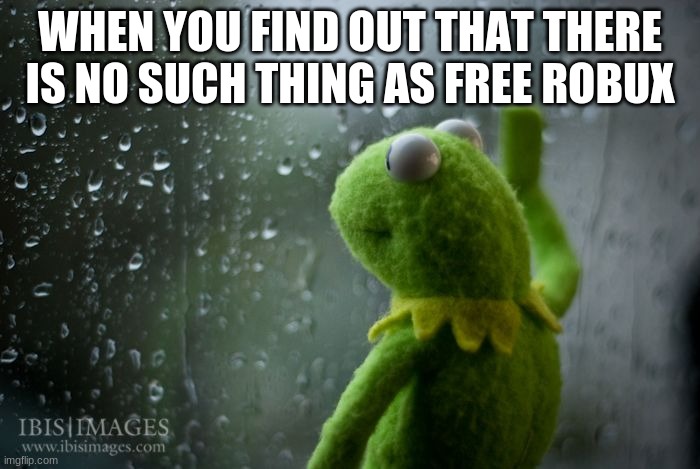 Kermit not happy | WHEN YOU FIND OUT THAT THERE IS NO SUCH THING AS FREE ROBUX | image tagged in kermit window,kermit,roblox,sad,depression | made w/ Imgflip meme maker