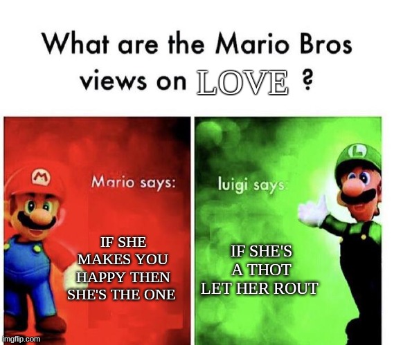 no one really made this meme i just go no where else to put | LOVE; IF SHE MAKES YOU HAPPY THEN SHE'S THE ONE; IF SHE'S A THOT LET HER ROUT | image tagged in mario bros views | made w/ Imgflip meme maker