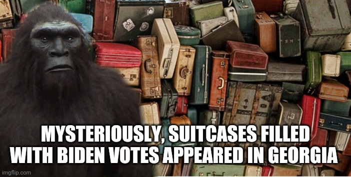 MYSTERIOUSLY, SUITCASES FILLED WITH BIDEN VOTES APPEARED IN GEORGIA | made w/ Imgflip meme maker