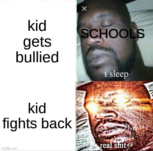 Sleeping Shaq Meme | kid gets bullied; SCHOOLS; kid fights back | image tagged in memes,sleeping shaq | made w/ Imgflip meme maker