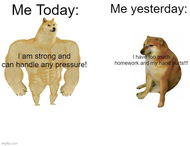STRONG DUDE | Me Today:; Me yesterday:; I have too much homework and my hand hurts!!! I am strong and can handle any pressure! | image tagged in memes,buff doge vs cheems | made w/ Imgflip meme maker