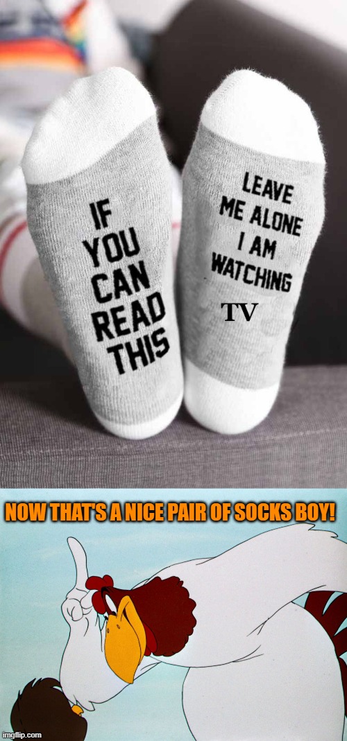 socks | NOW THAT'S A NICE PAIR OF SOCKS BOY! | image tagged in socks,tv,kewlew | made w/ Imgflip meme maker