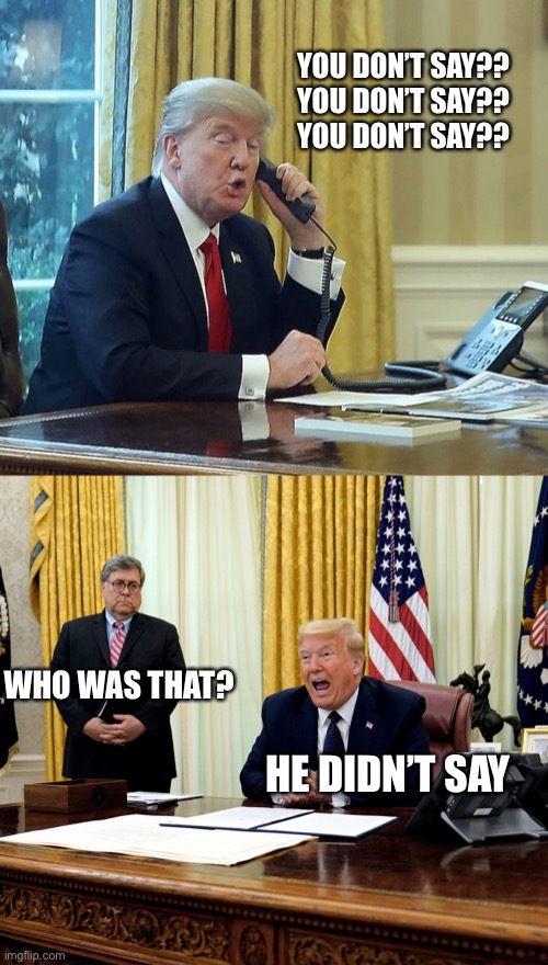 Trump’s typical phone calls | YOU DON’T SAY??
YOU DON’T SAY??
YOU DON’T SAY?? WHO WAS THAT? HE DIDN’T SAY | image tagged in memes,donald trump | made w/ Imgflip meme maker