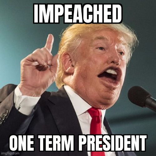image tagged in donald trump approves,trump impeachment | made w/ Imgflip meme maker
