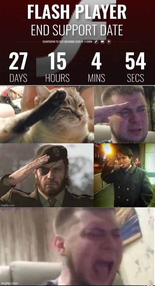 can we get an f in the chat | image tagged in cat salute m3m3,crying salute,adobe flash,memes,sad | made w/ Imgflip meme maker