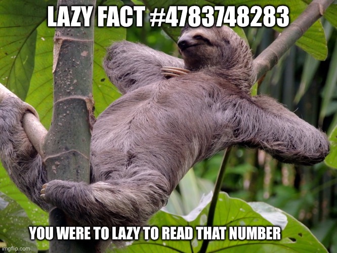 Laz fact | LAZY FACT #4783748283; YOU WERE TO LAZY TO READ THAT NUMBER | image tagged in lazy sloth | made w/ Imgflip meme maker