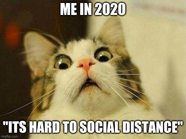 Scared Cat | ME IN 2020; "ITS HARD TO SOCIAL DISTANCE" | image tagged in memes,scared cat | made w/ Imgflip meme maker