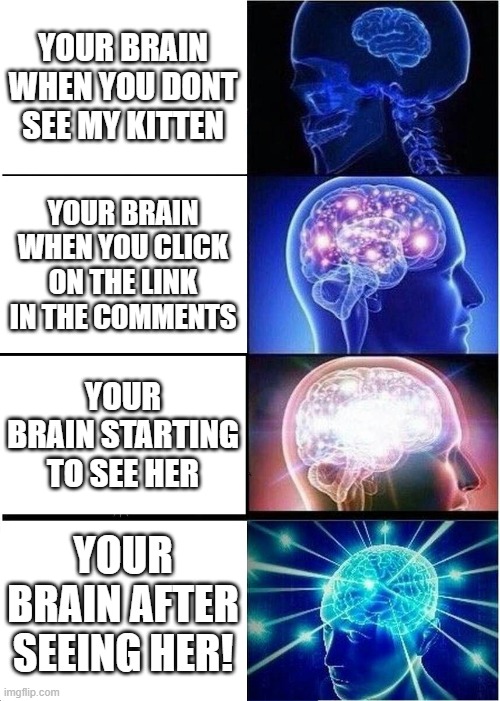Shes disabled! LINK IN COMMENTS | YOUR BRAIN WHEN YOU DONT SEE MY KITTEN; YOUR BRAIN WHEN YOU CLICK ON THE LINK IN THE COMMENTS; YOUR BRAIN STARTING TO SEE HER; YOUR BRAIN AFTER SEEING HER! | image tagged in memes,expanding brain | made w/ Imgflip meme maker