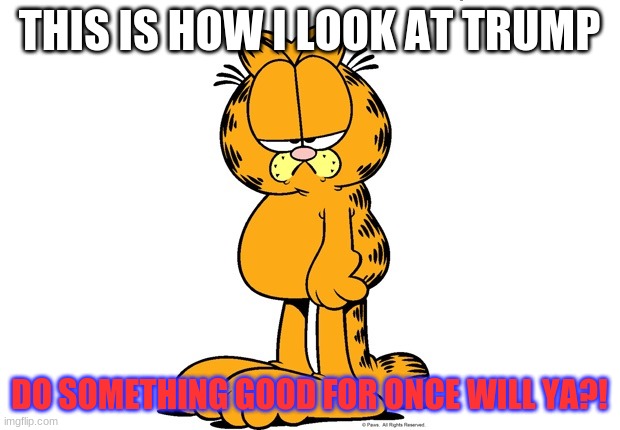 Grumpy Garfield | THIS IS HOW I LOOK AT TRUMP; DO SOMETHING GOOD FOR ONCE WILL YA?! | image tagged in grumpy garfield | made w/ Imgflip meme maker