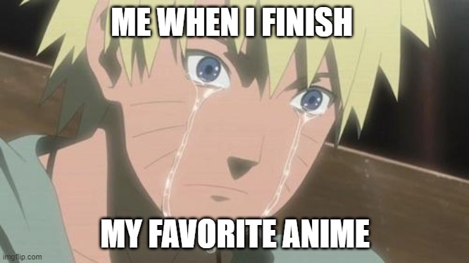 Finishing anime | ME WHEN I FINISH; MY FAVORITE ANIME | image tagged in finishing anime | made w/ Imgflip meme maker