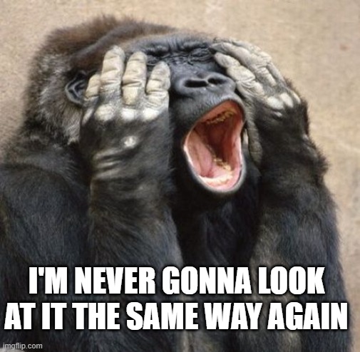 My Eyes Gorilla | I'M NEVER GONNA LOOK AT IT THE SAME WAY AGAIN | image tagged in my eyes gorilla | made w/ Imgflip meme maker