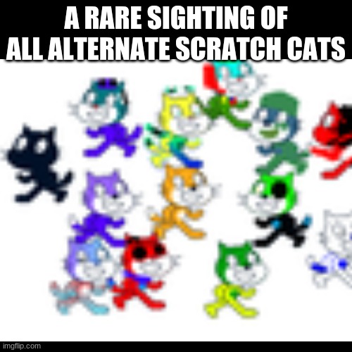 First meme | A RARE SIGHTING OF ALL ALTERNATE SCRATCH CATS | image tagged in scratch,nano,pico,tera,all of them | made w/ Imgflip meme maker