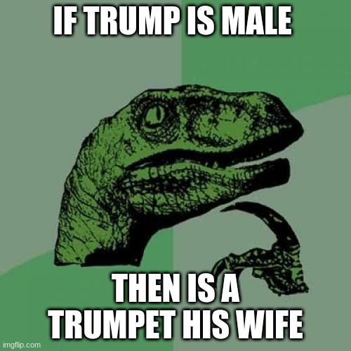 like, trumpette?get it? | IF TRUMP IS MALE; THEN IS A TRUMPET HIS WIFE | image tagged in memes,philosoraptor | made w/ Imgflip meme maker