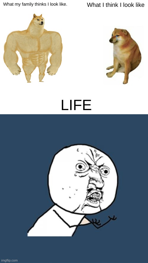 What my family thinks I look like. What I think I look like; LIFE | image tagged in memes,buff doge vs cheems,y u no | made w/ Imgflip meme maker