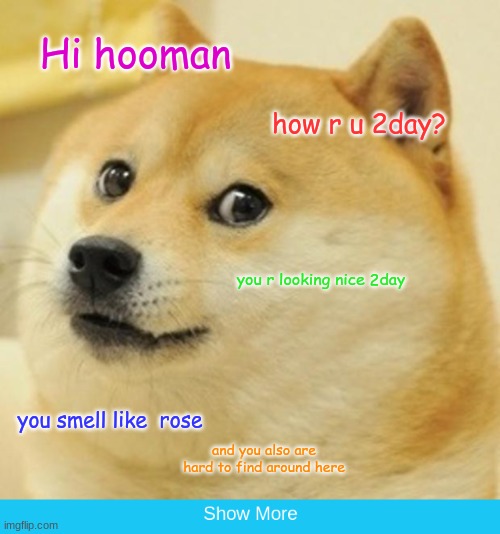 doggeee | Hi hooman; how r u 2day? you r looking nice 2day; you smell like  rose; and you also are hard to find around here | image tagged in memes,doge | made w/ Imgflip meme maker